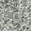 G623 Granite from XIAMEN CHINE STONE GROUP, NANNING, CHINA